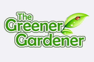 Logo Design by Guido Media, Camarillo, CA