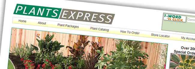 Plants Express Website Design