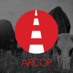 Arcop, Website Design Client, Guido Media